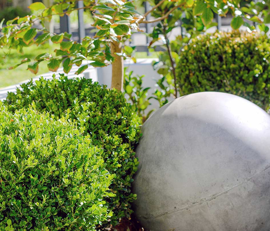 Landscape Designers Making a Difference